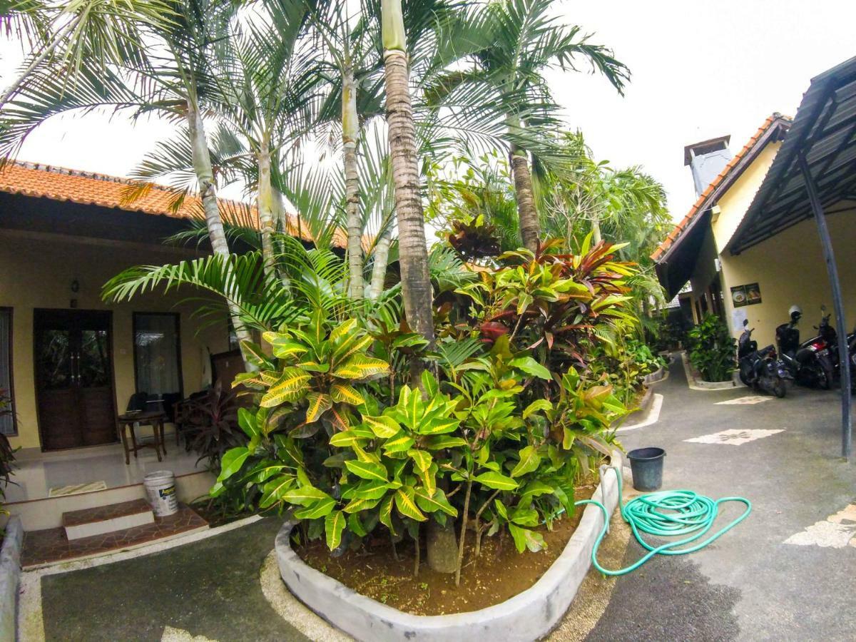 Putu Guest House Canggu  Exterior photo